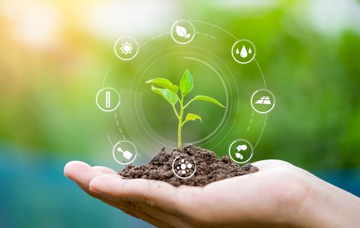 Hands holding seedlings, Modern agriculture with technology conc