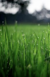 Untitled (Presentation (43)).zip - 1