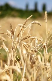 Untitled (Presentation (43)).zip - 4