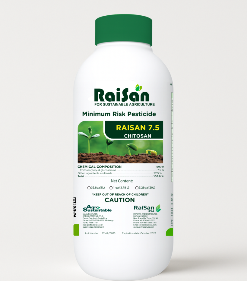 Untitled design (19)